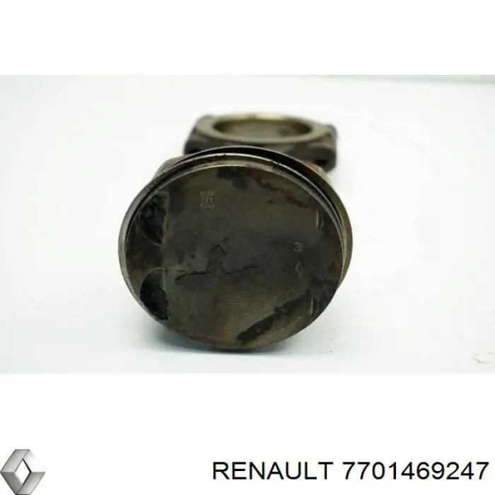 Biela Renault (RVI) 7701469247 precio, desde 74,05 EUR