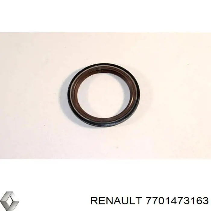 Juego de cadena de bomba de aceite 7701473163 Renault (RVI)