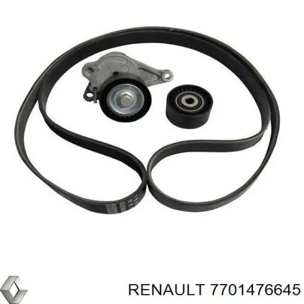 Correa de transmisión, juego Renault (RVI) 7701476645 precio, desde 106,47 EUR