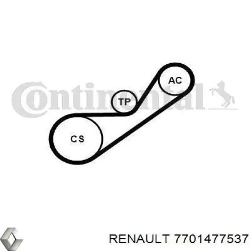 7701477536 Renault (RVI) correa de transmision, juego completo