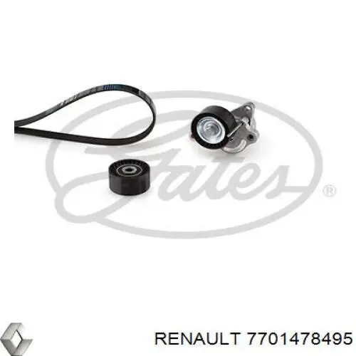 Correa de transmisión, juego Renault (RVI) 7701478495 precio, desde 106,47 EUR