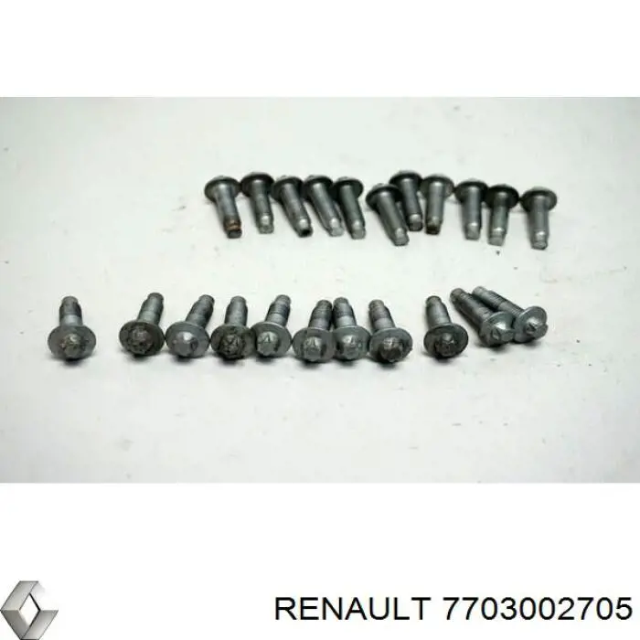Tornillo del cárter del motor Renault (RVI) 7703002705 precio, desde 4,11 EUR
