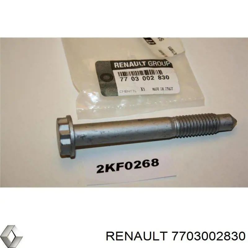 7703002830 Renault (RVI)