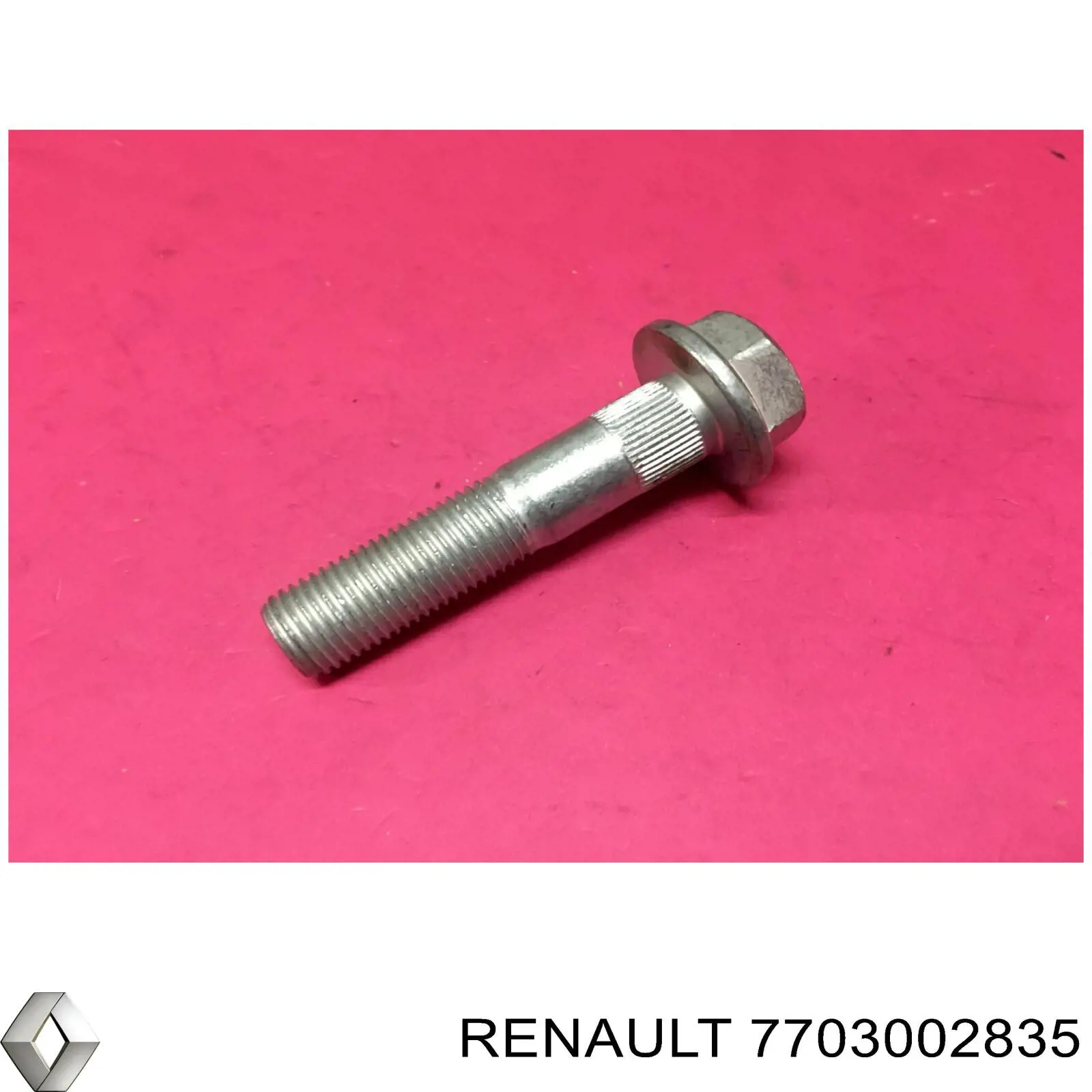Tornillo de montaje del amortiguador trasero Renault (RVI) 7703002835 precio, desde 14,23 EUR