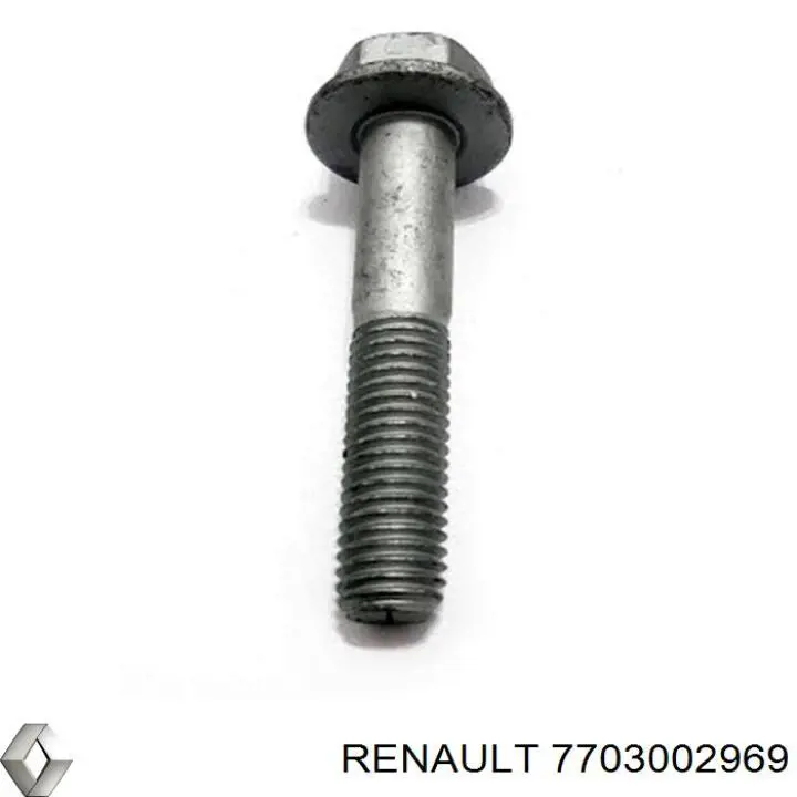 7703002969 Renault (RVI)