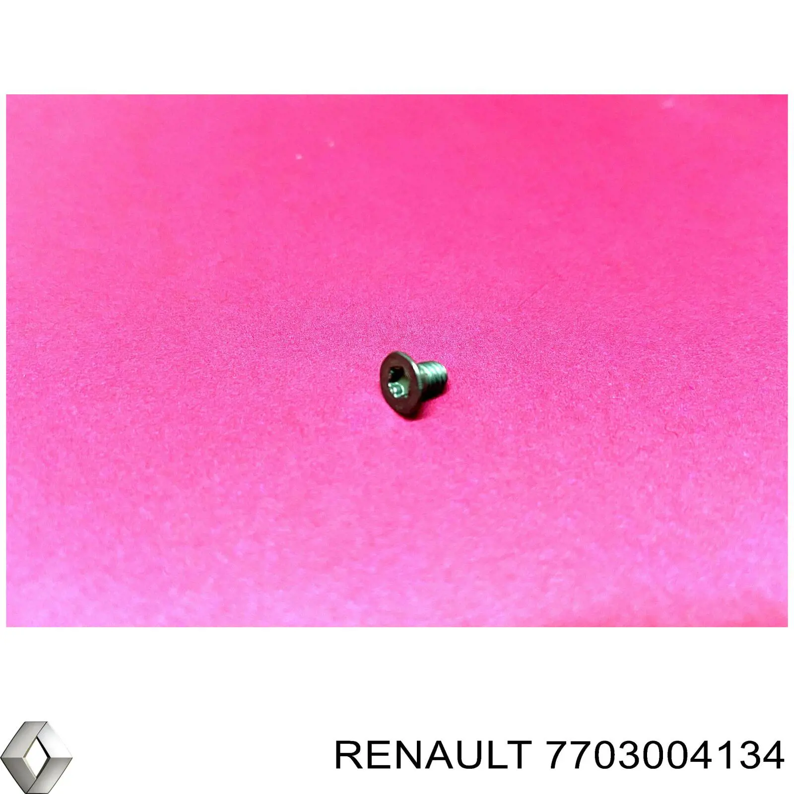  Renault (RVI) 7703004134 precio, desde 3,32 EUR