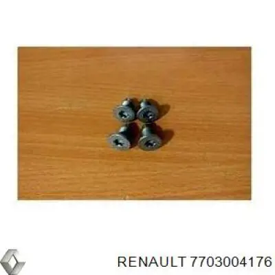 7703004176 Renault (RVI) tornillo de pinza de freno