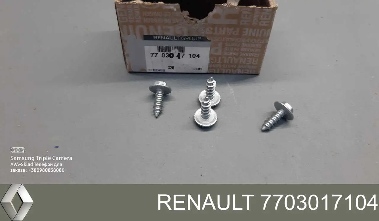 Tornillo Renault (RVI) 7703017104 precio, desde 0,85 EUR