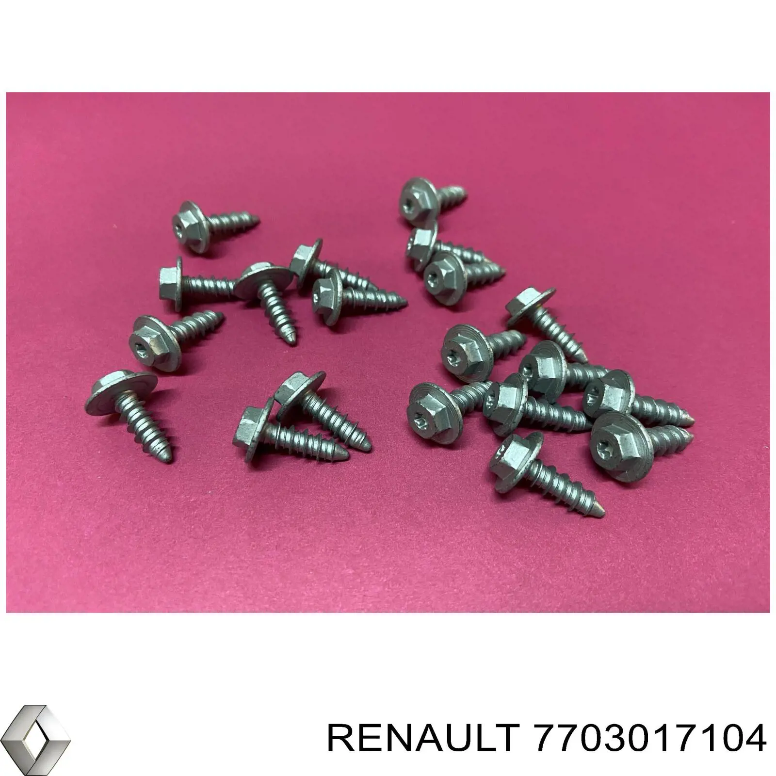 7703017087 Renault (RVI)