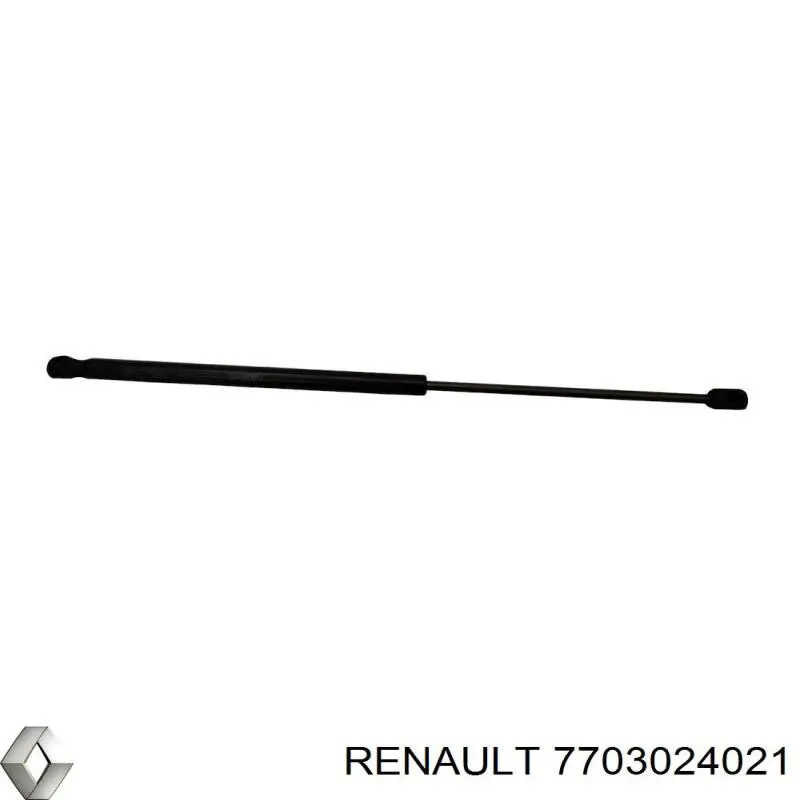 7703024021 Renault (RVI)