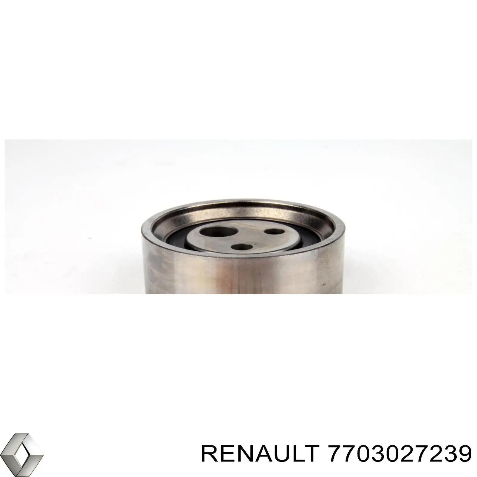 7703027239 Renault (RVI)