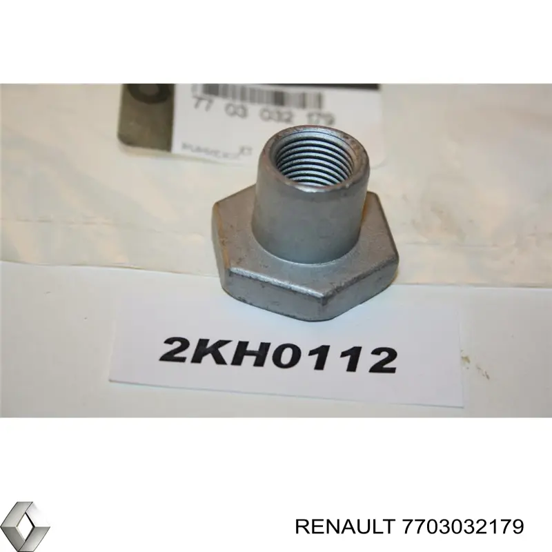 7703032179 Renault (RVI)