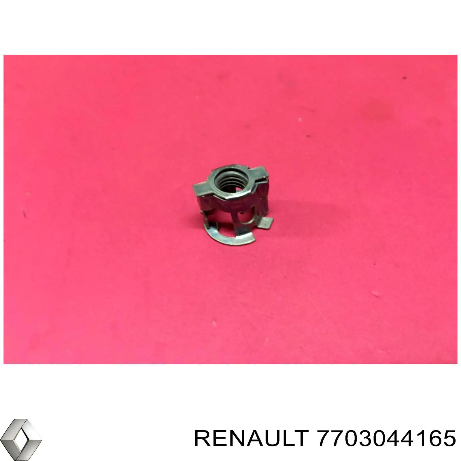 7703044165 Renault (RVI)