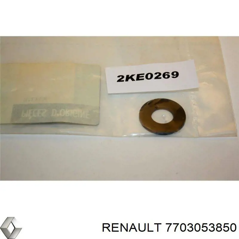 7703053850 Renault (RVI)