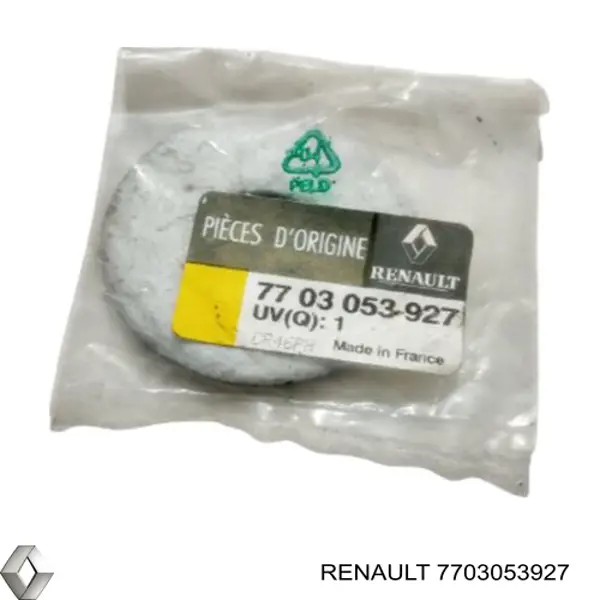 7703053927 Renault (RVI)