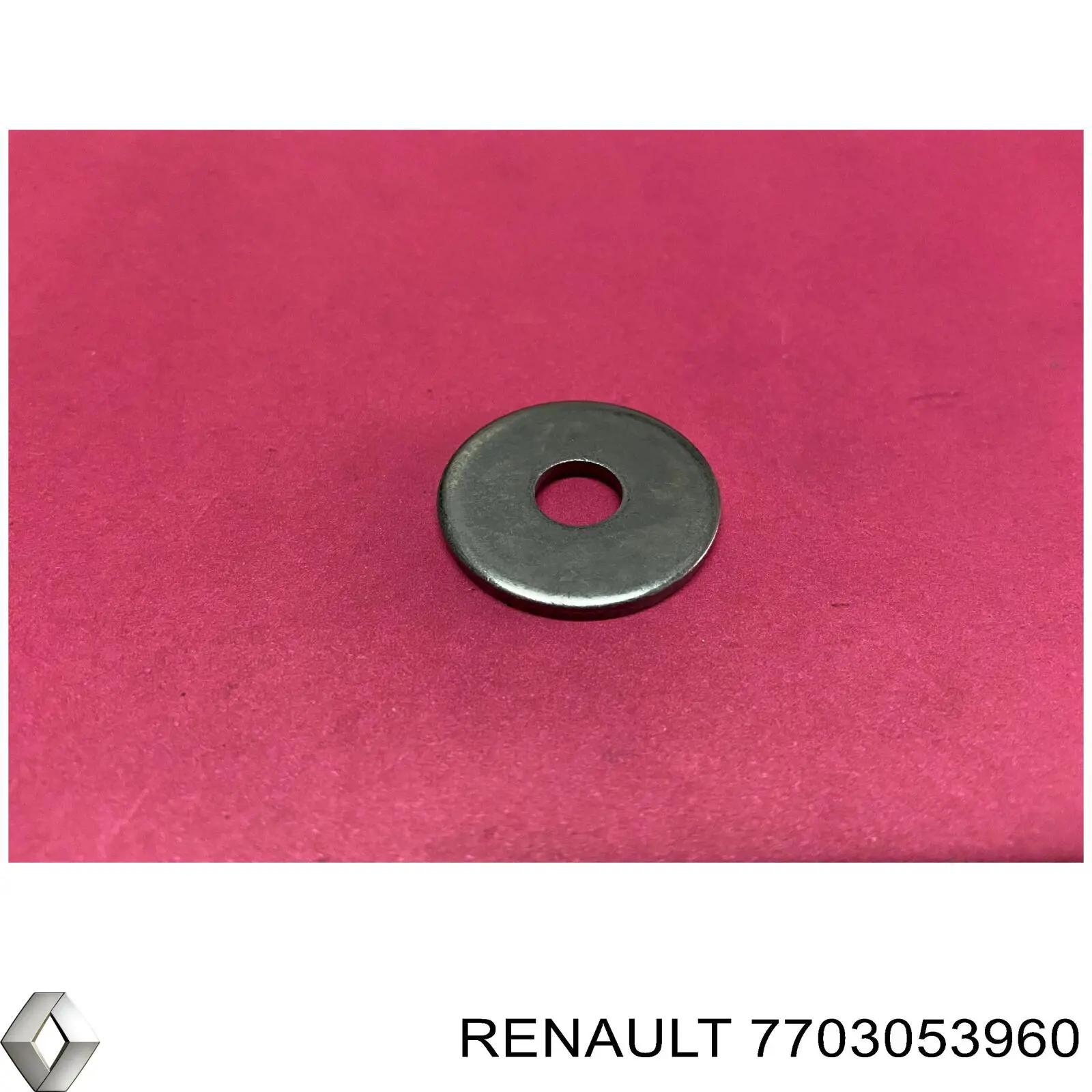 7703053960 Renault (RVI)