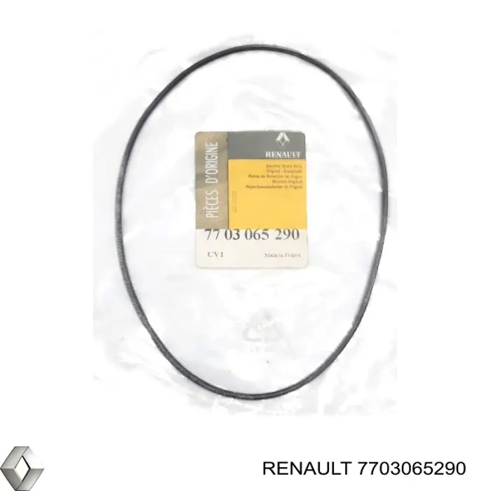 Anillo de sellado de la bomba de aceite de la transmisión automática Renault (RVI) 7703065290 precio, desde 20,42 EUR