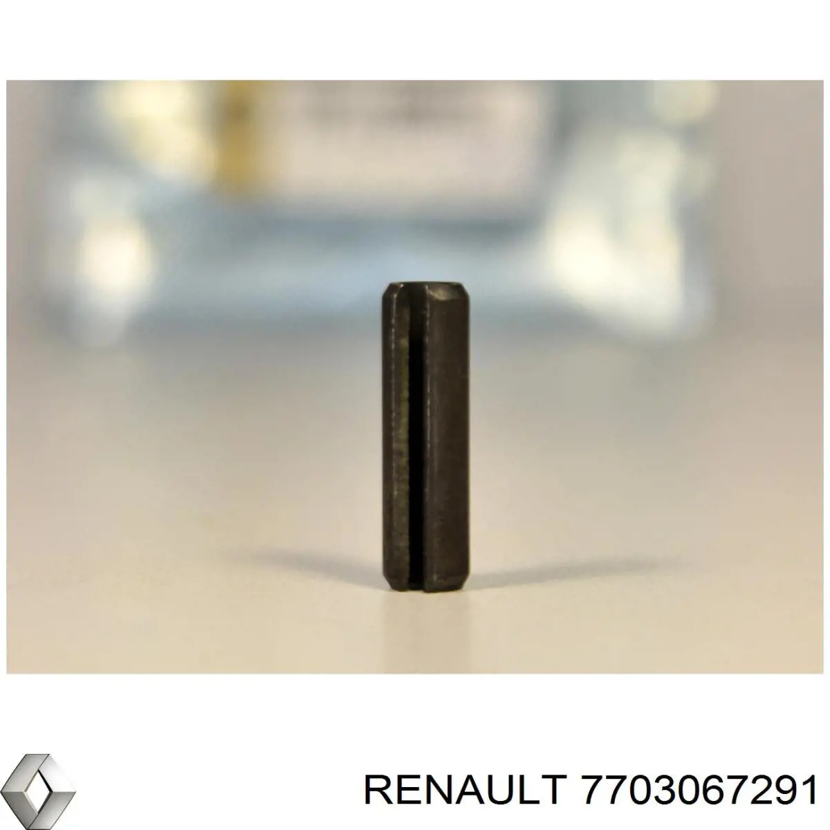 7703067291 Renault (RVI)