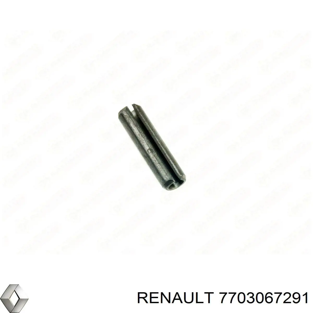 Comprar 7703067291 Renault (RVI) 
