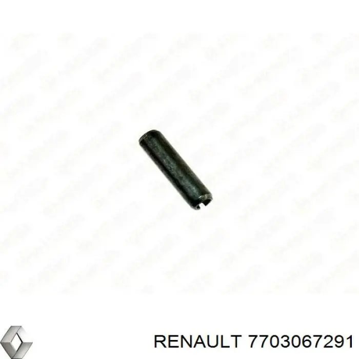  7703067291 Renault (RVI)