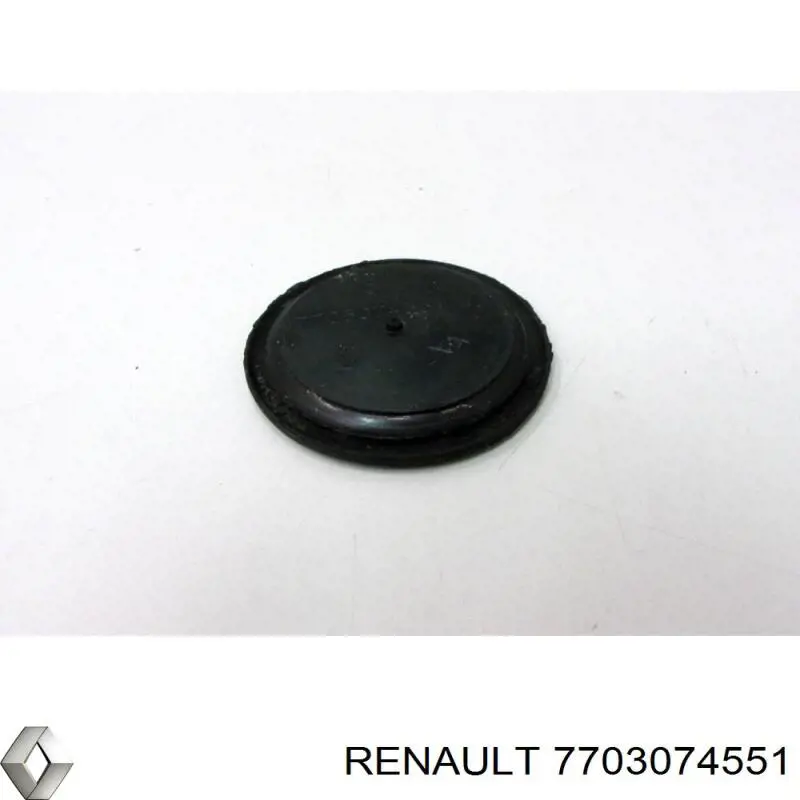 7703074646 Renault (RVI)