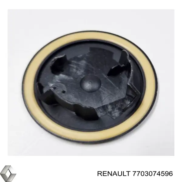 6955151000 Renault (RVI)