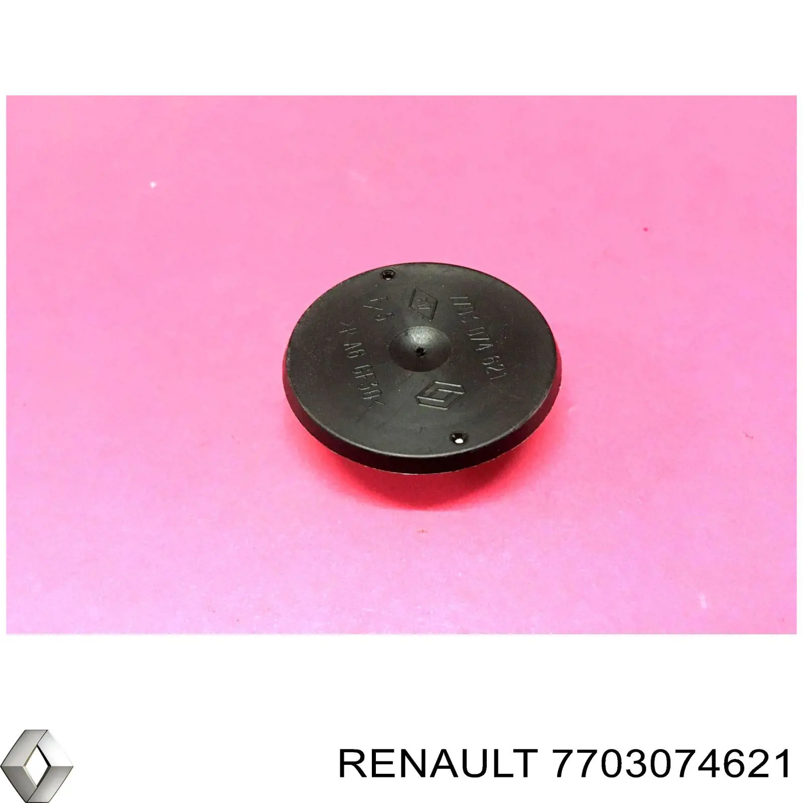 7703074621 Renault (RVI)