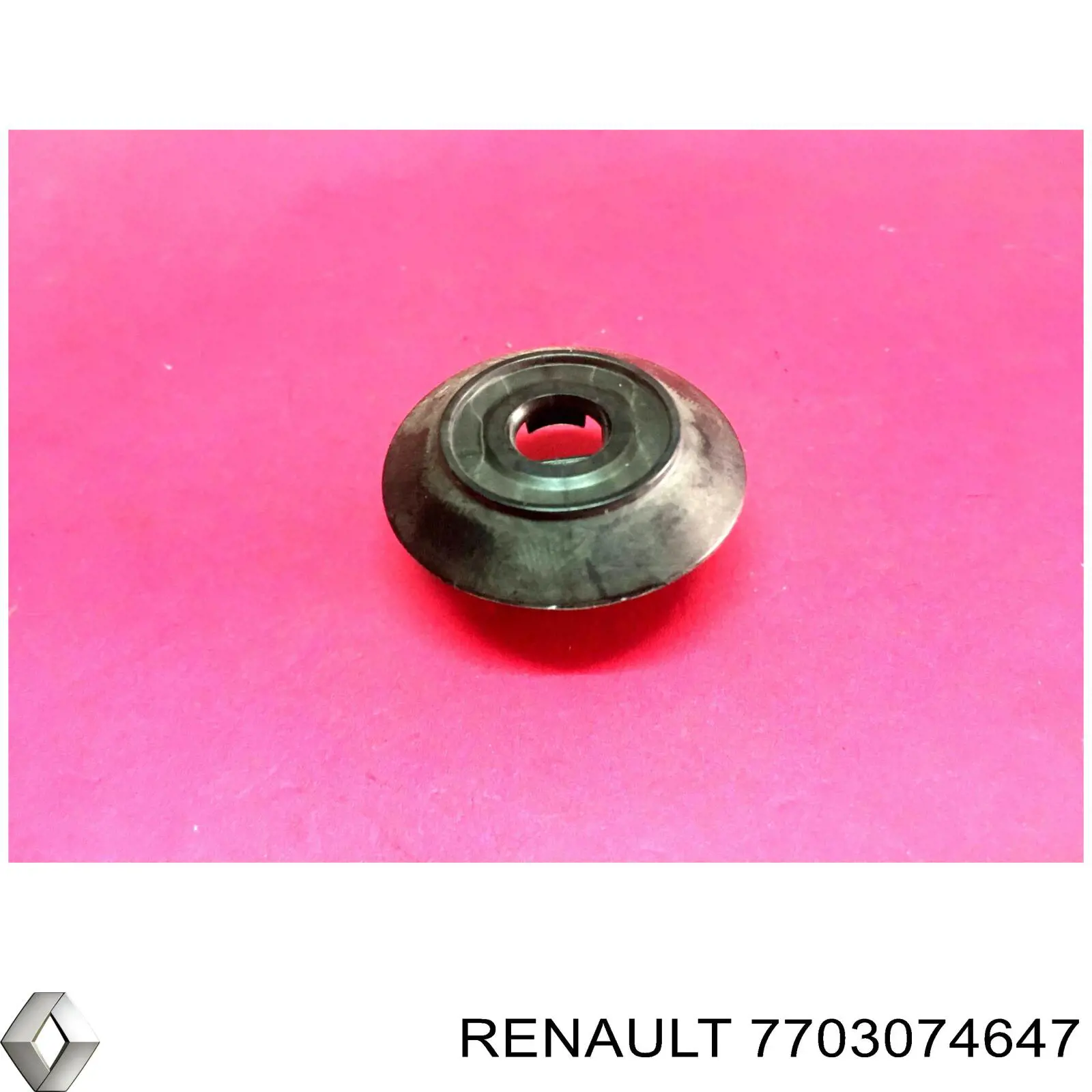 7703074647 Renault (RVI)