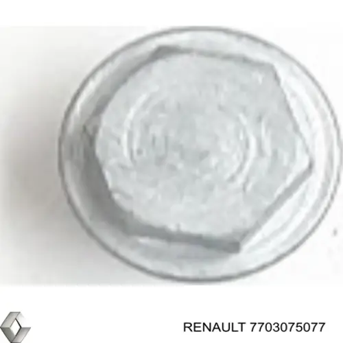 7703075077 Renault (RVI)