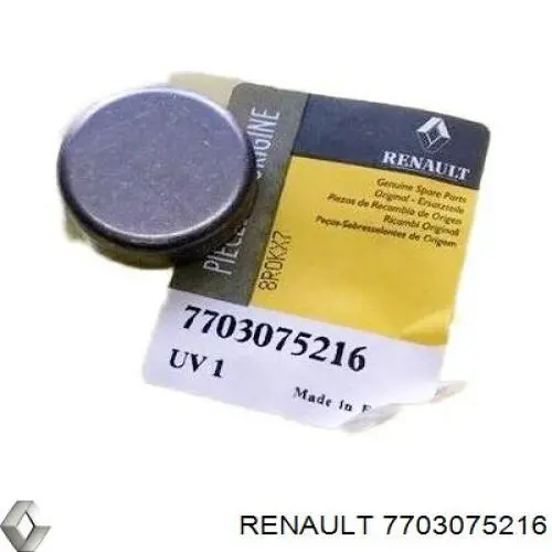 7703075216 Renault (RVI) Tapa de bloque motor