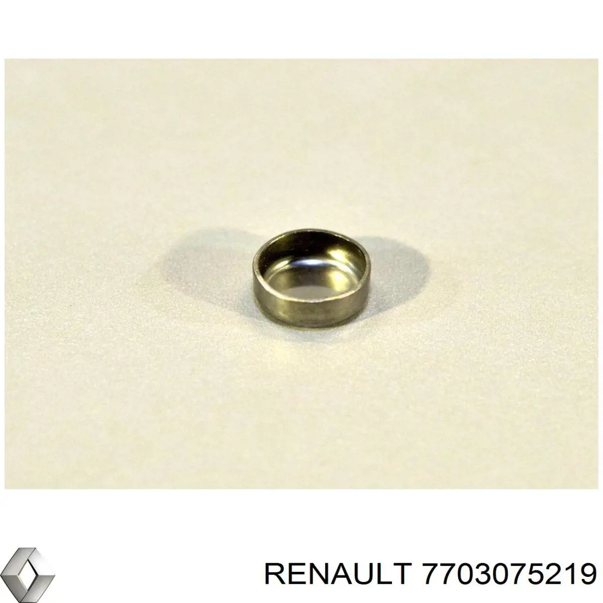 Tapa de cilindro Renault (RVI) 7703075219 precio, desde 10,49 EUR