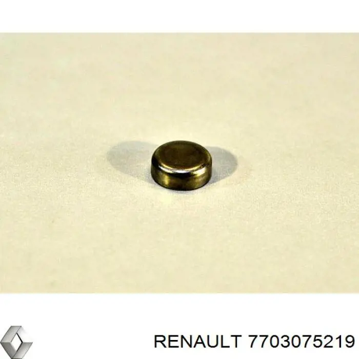 Comprar 7703075219 Renault (RVI) Tapon culata