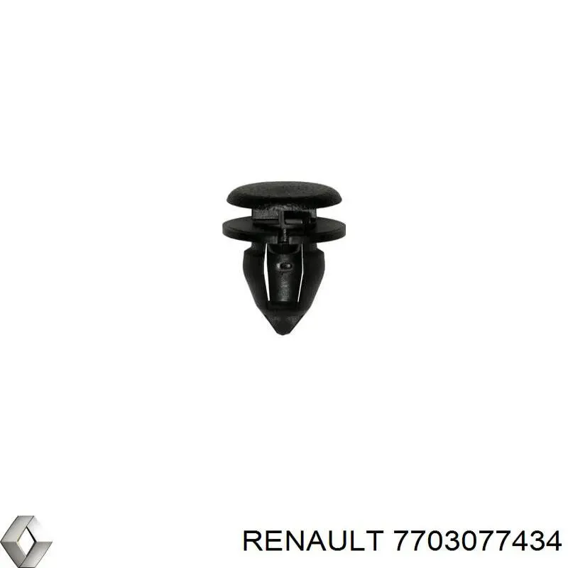 7703077434 Renault (RVI)