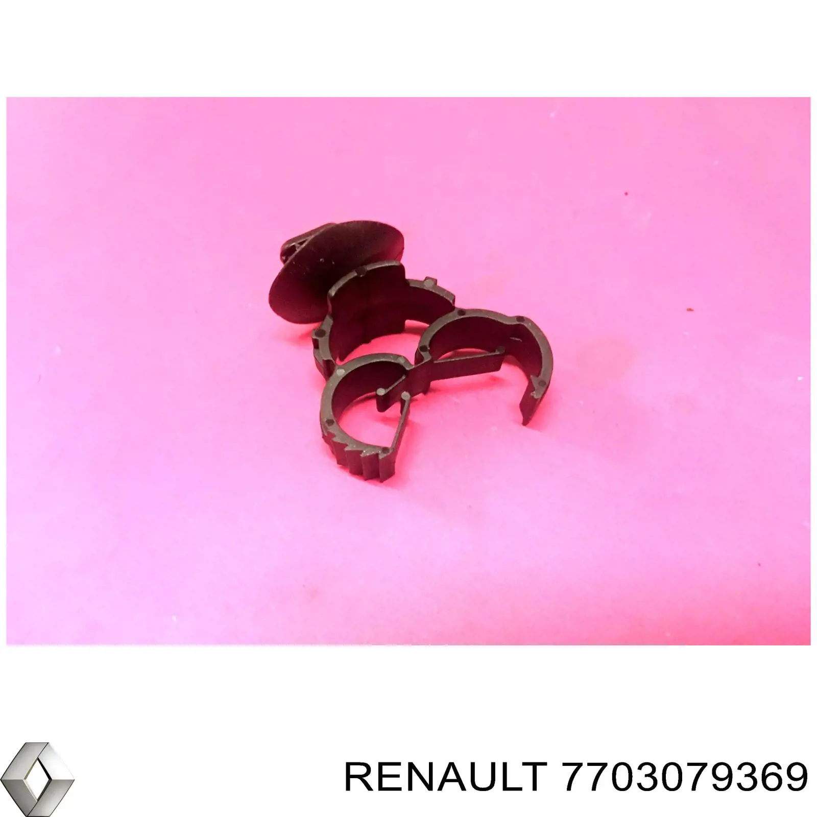 7703079369 Renault (RVI)