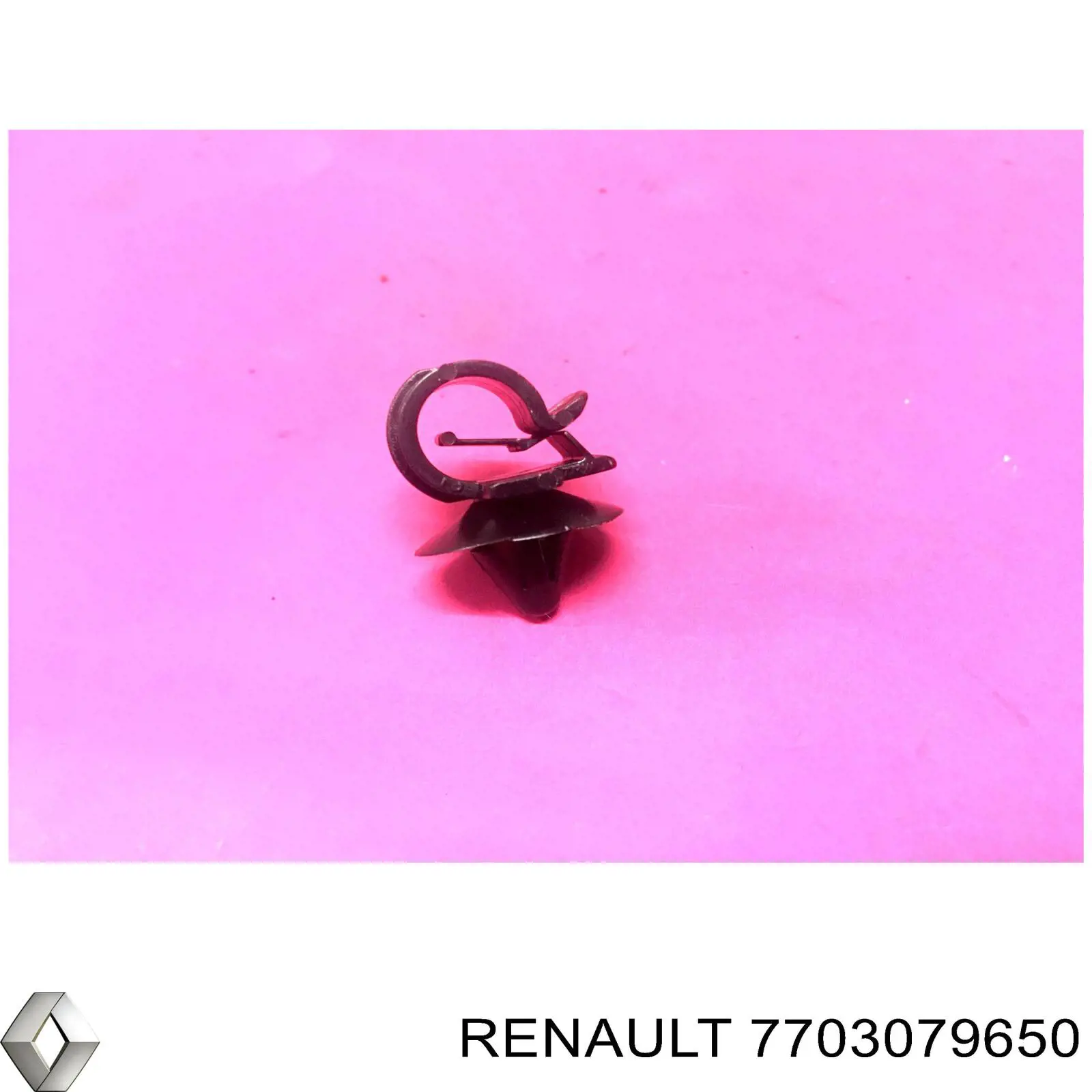 7703179035 Renault (RVI)