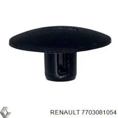 7703081054 Renault (RVI) clips de fijación de pasaruedas de aleta delantera