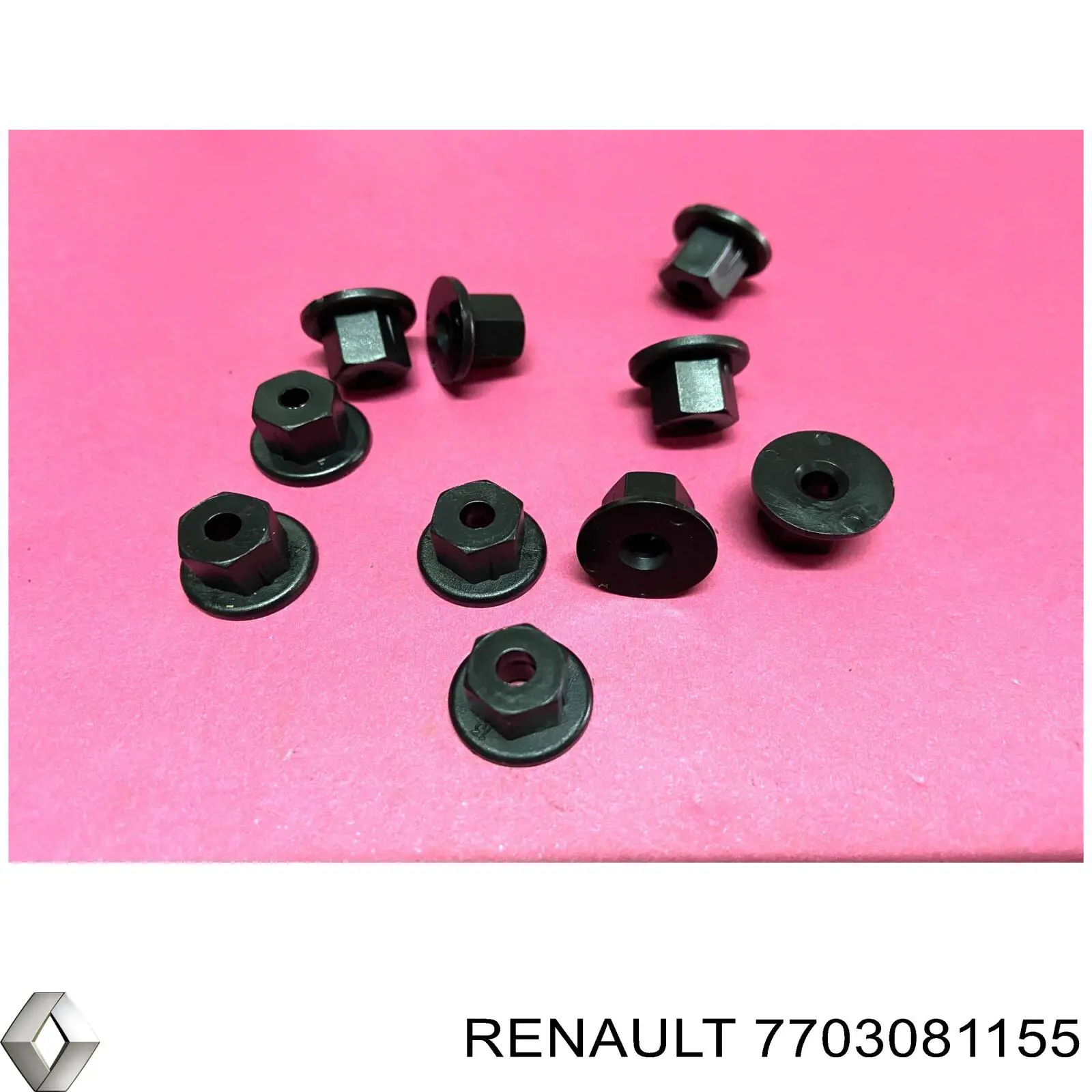 7703081155 Renault (RVI)