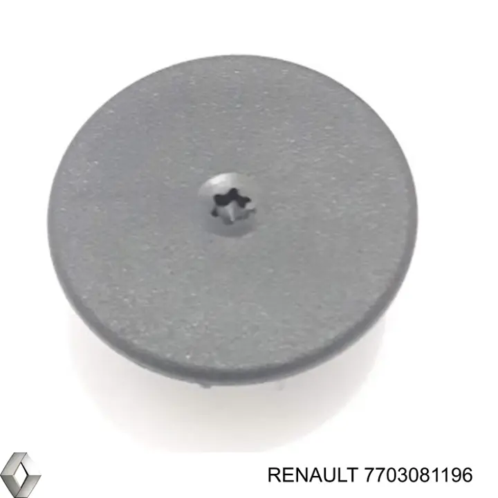  Renault (RVI) 7703081196 precio, desde  