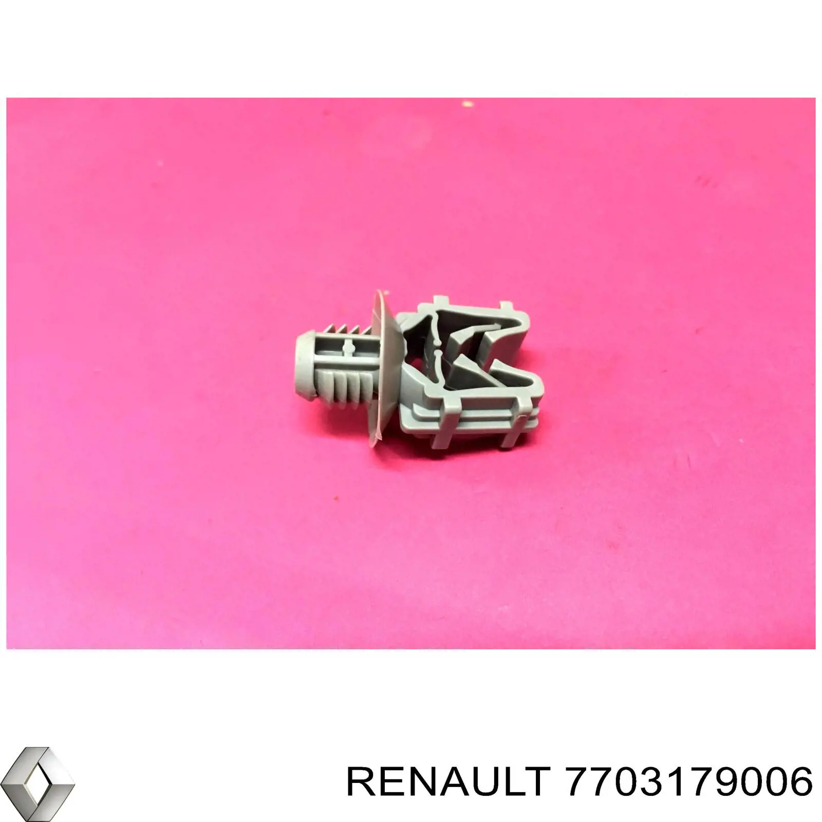 Abrazadera de fijación de la manguera de freno Renault (RVI) 7703179006 precio, desde 19,62 EUR