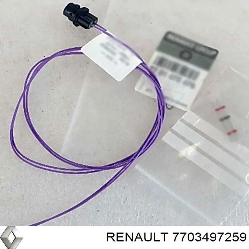 7703497259 Renault (RVI)