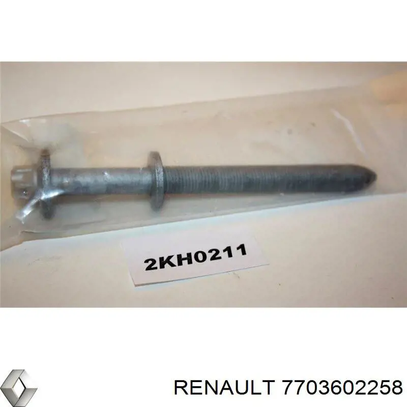 Perno de fijación del brazo oscilante delantero Renault (RVI) 7703602258 precio, desde 27,59 EUR