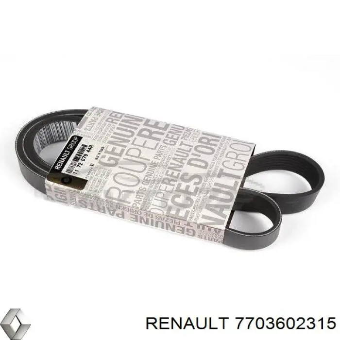 7703602315 Renault (RVI)