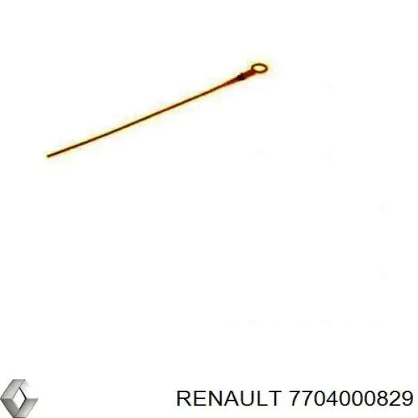 Soporte de motor delantero 7704000829 Renault (RVI)