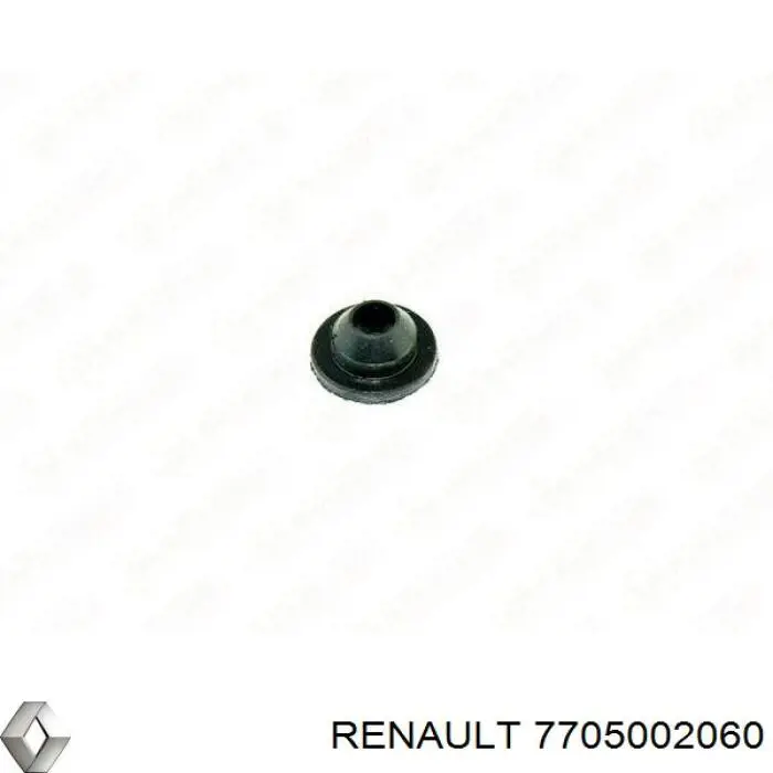Bomba de lavado de juntas tóricas para Renault Kangoo (FC0)