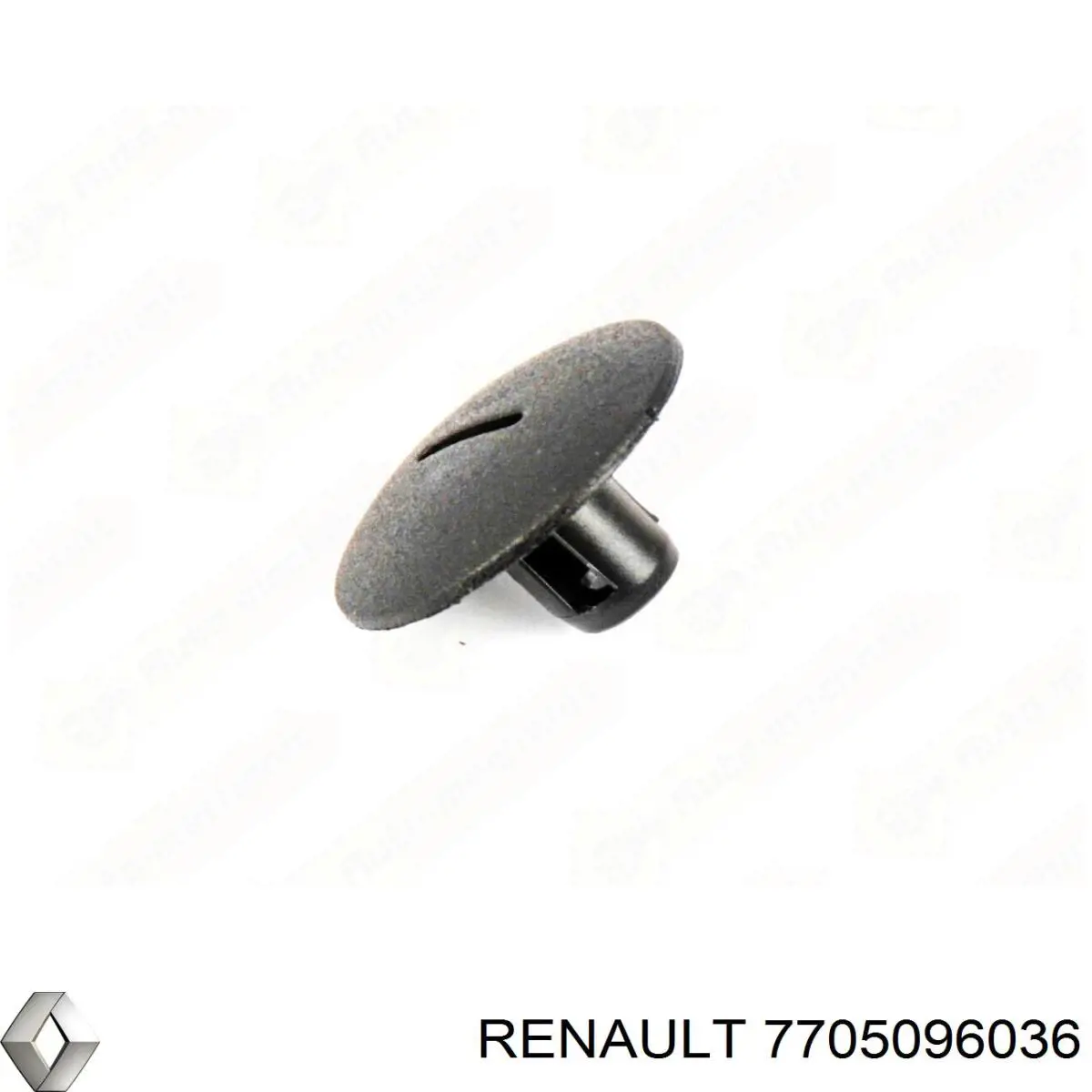 Clip de fijación del guardabarros delantero Renault (RVI) 7705096036 precio, desde 0,88 EUR