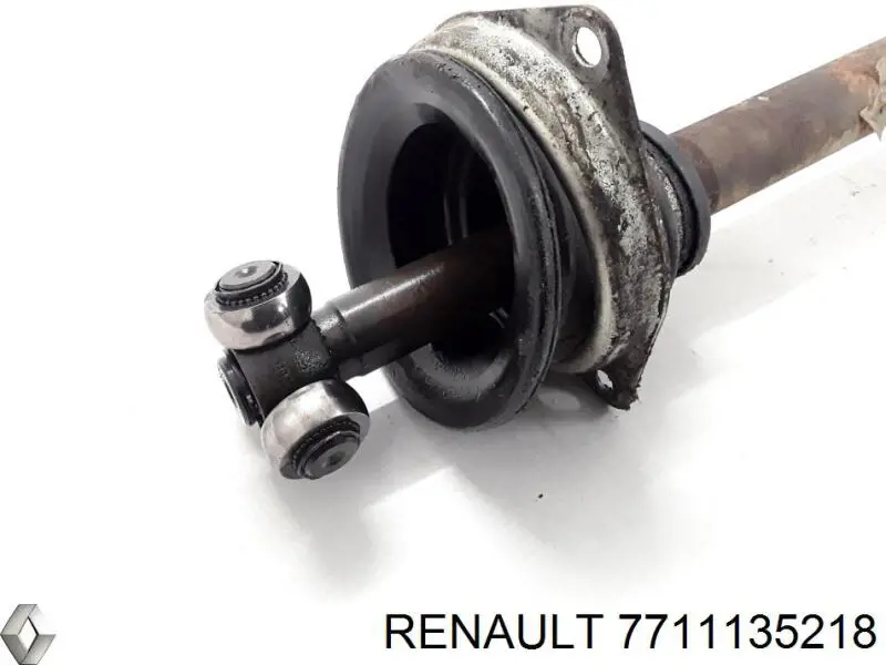 7711135218 Renault (RVI)