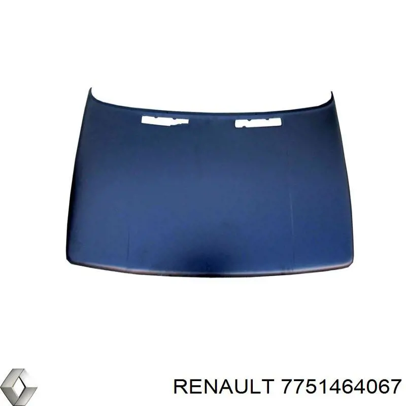 Comprar Capó Renault 9  L42