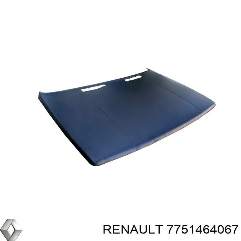 Capó del motor Renault 9 sedán (L42) (1981 - 1988) precio, desde 189,22 EUR