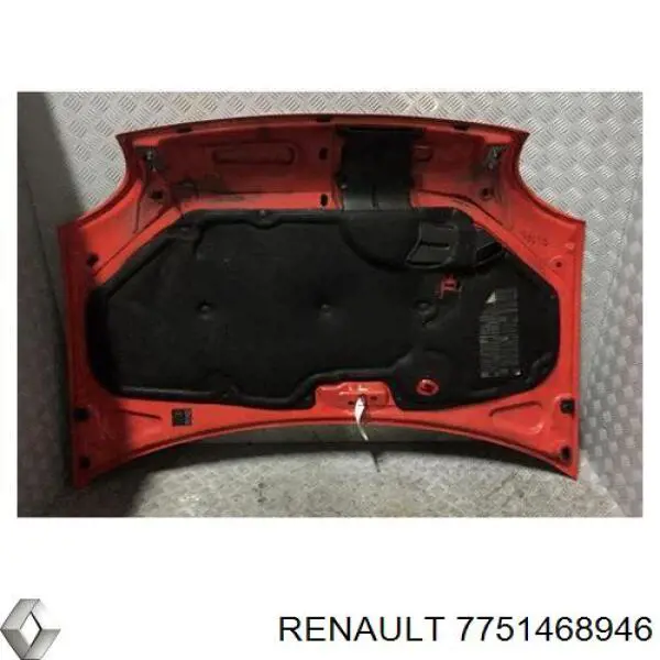  Capó Renault Kangoo 1