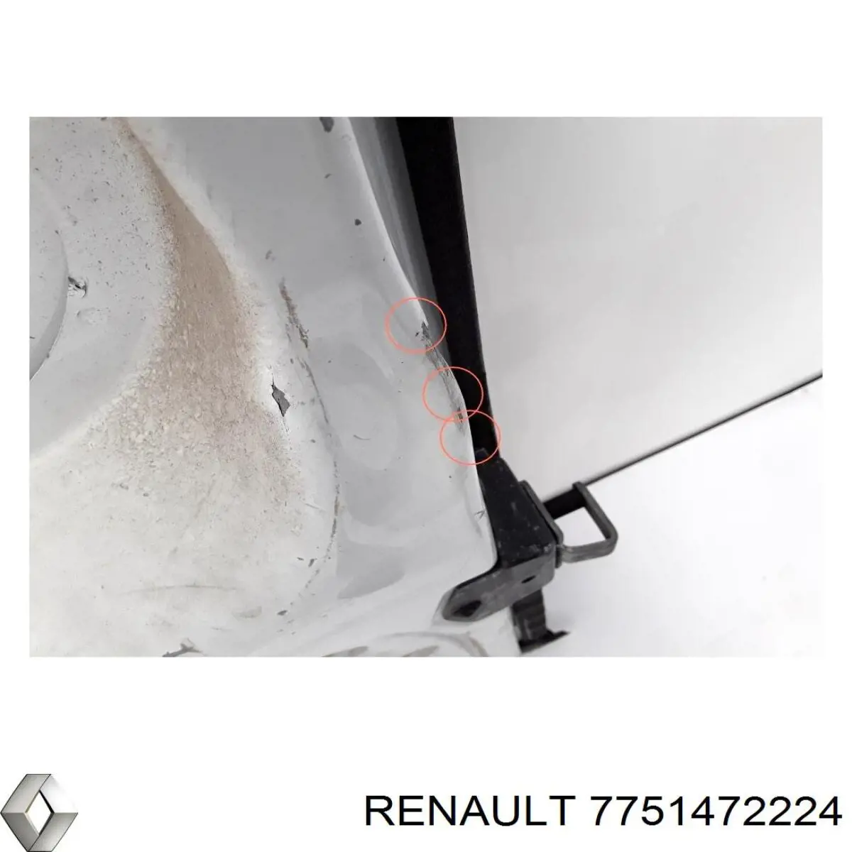Puerta trasera derecha batiente de furgoneta 7751472224 Renault (RVI)